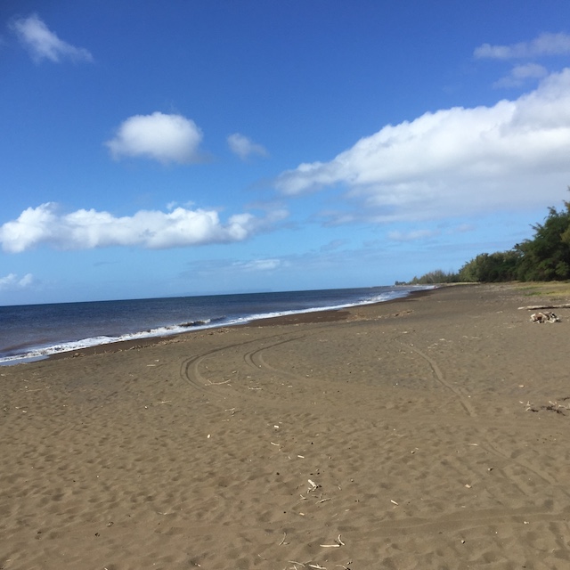 grayish-black sand at Waimea State Recreational Pier beach on Kauai