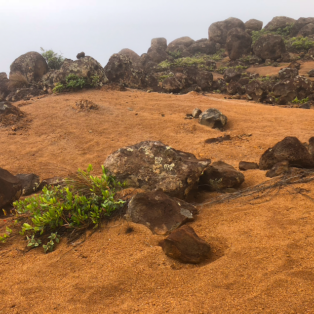 boulder-dotted red sand landscape with a tiny amount of foliage at the Garden of the Gods (Keahiakawelo), Lanai, Hawaii
