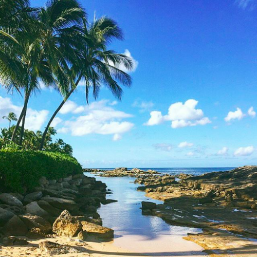 palm trees and ocean at Ko Olina's secret lagoon, one of the best snorkeling spots in Ko Olina