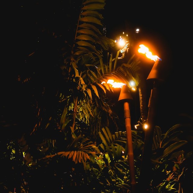 flaming tiki torches and palm trees are two of the most iconic visuals associated with Hawaii luau